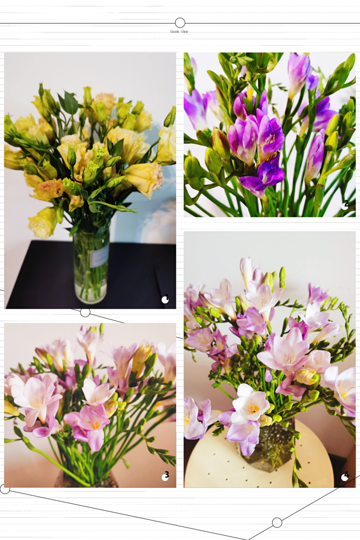 Happy Women’s Day | 戰(zhàn)疫時(shí)期，這個(gè)三八節(jié)，我們“e”起過(guò)！